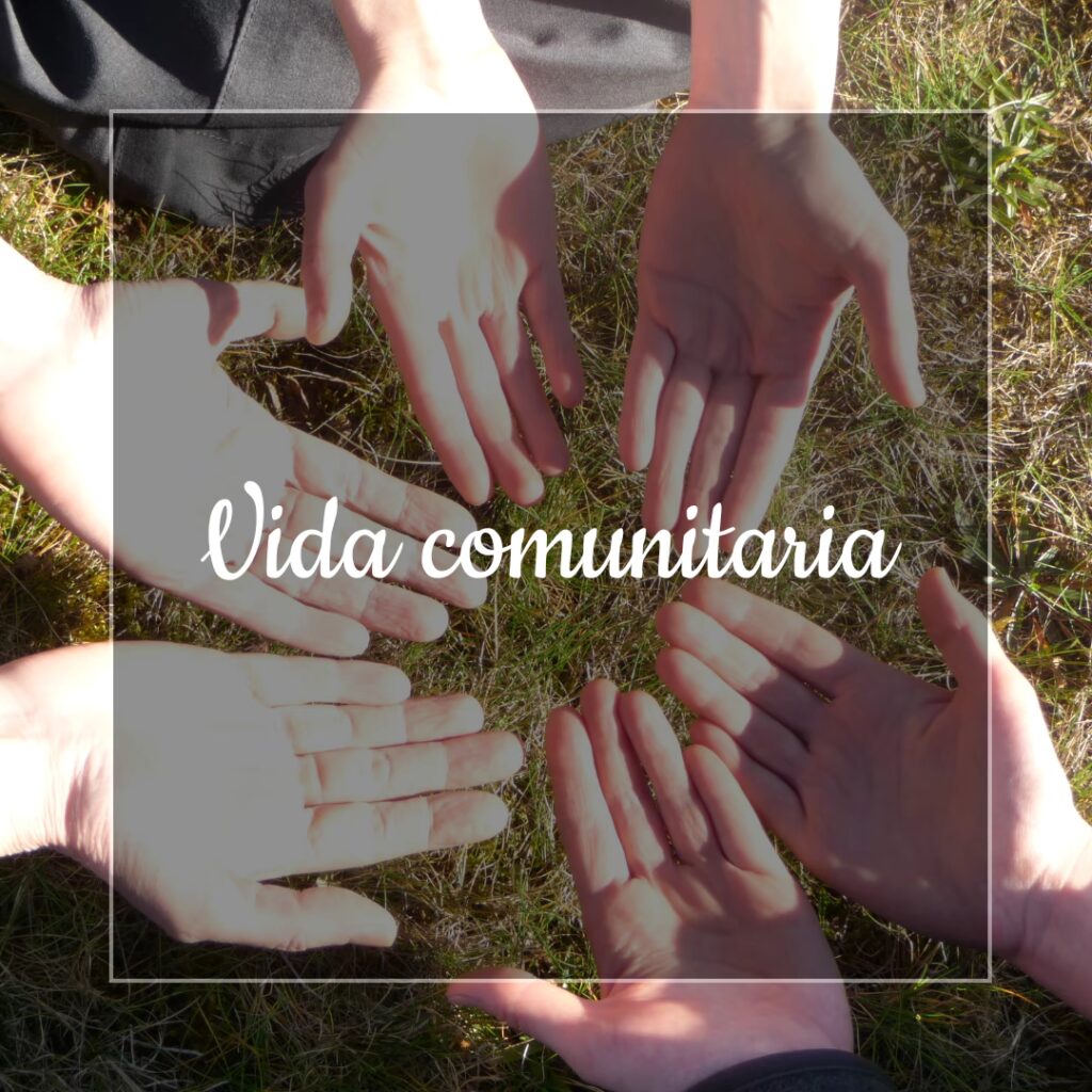 vida communitaria